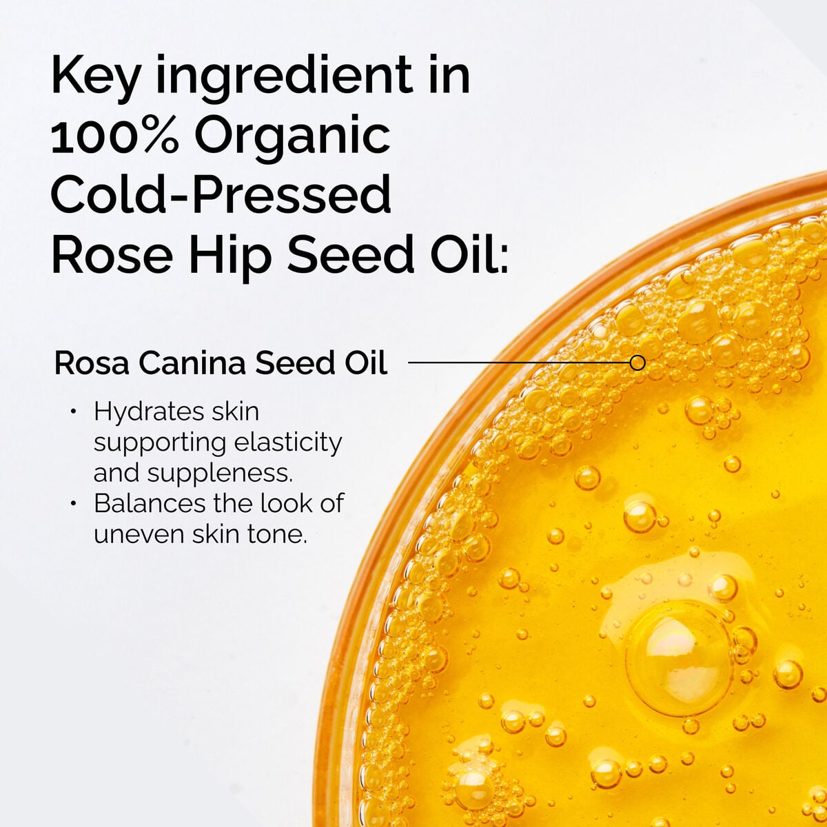 100-organic-cold-pressed-rose-hip-seed-oil-n3 FY25-D41247-ORD-Web-PDP-100-Rose-Hip-Oil-1x1-EN-2.jpg
