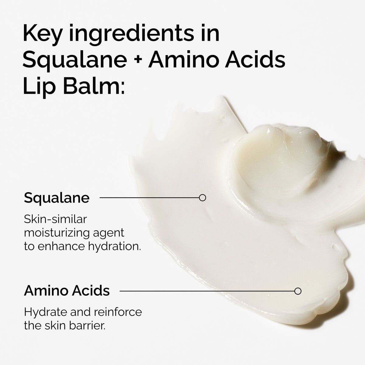 squalane-amino-acids-lip-balm-i1 FY25-D41247-ORD-Web-PDP-Sql-Amino-Lip-1x1-EN-2a.jpg