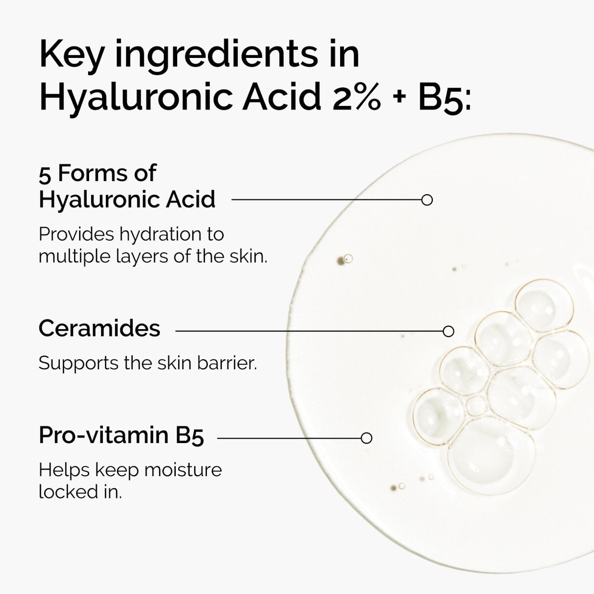 hyaluronic-acid-2-b5-with-ceramides-b6 ord-hyaluronic-acid-2pct-b5-hydrating-serum-ingredients-graphic.jpg