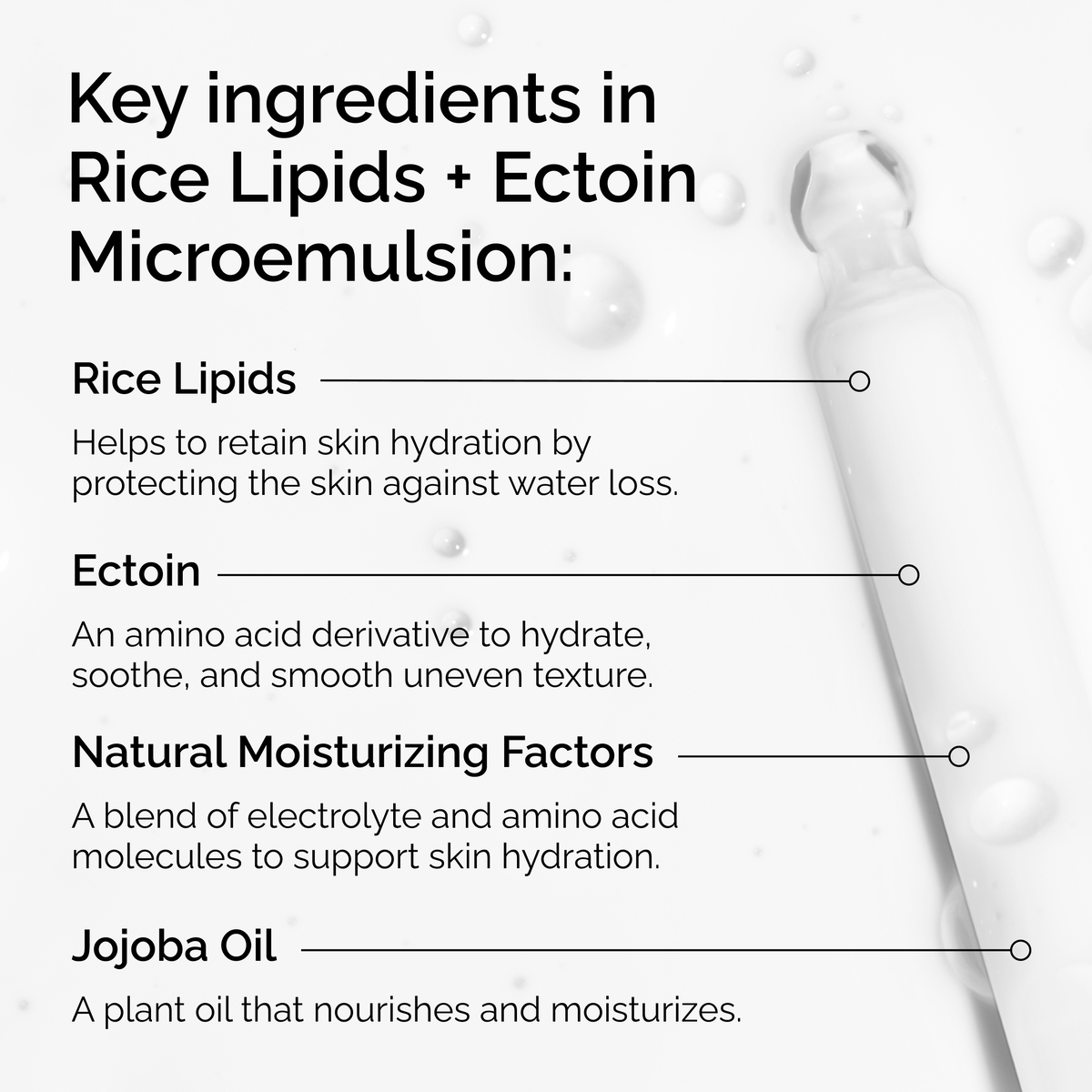 rice-lipids-ectoin-microemulsion-j8 ord-rice-lipids-ectoin-microemulsion-key-ingredients.png
