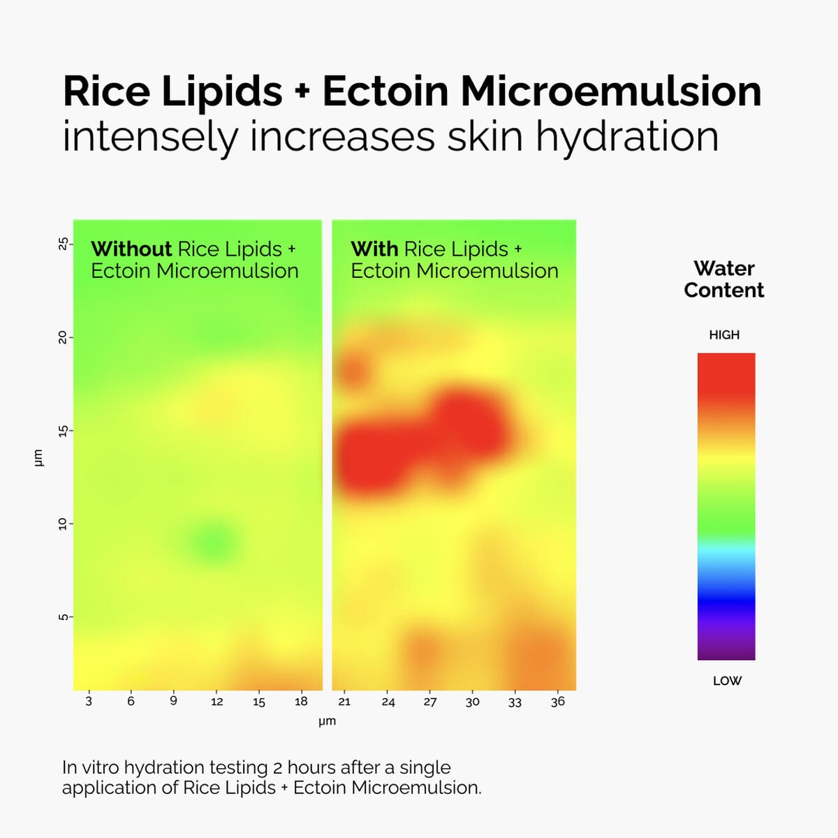 rice-lipids-ectoin-microemulsion-j8 ord-rice-lipids-ectoin-microemulsion-thermal-before-after.jpg